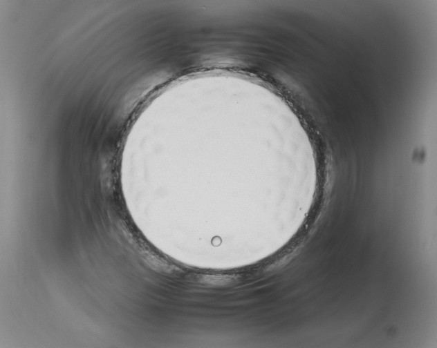 X0000114011305200911131154