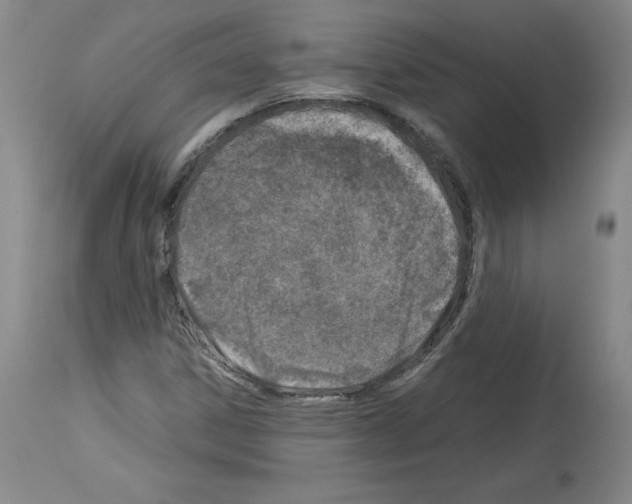 X0000114011306200911131154