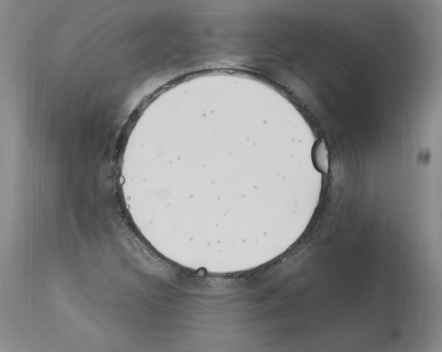 X0000114011308200911131154