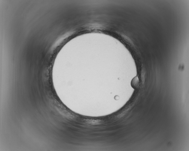 X0000114011309200911131154