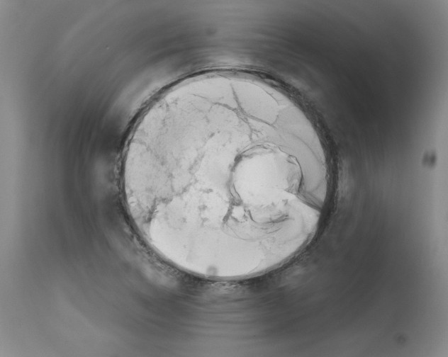 X0000114011314200911131154