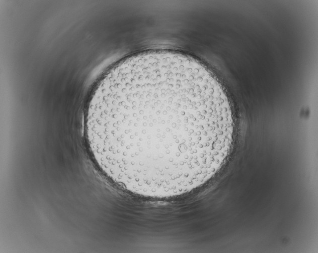 X0000114011317200911131154