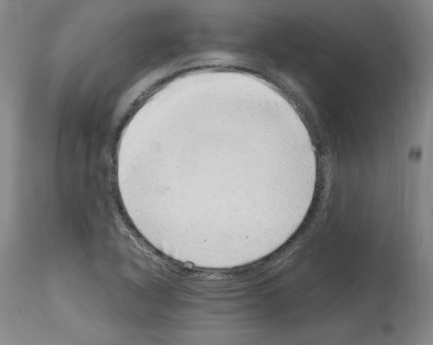 X0000114011318200911131154