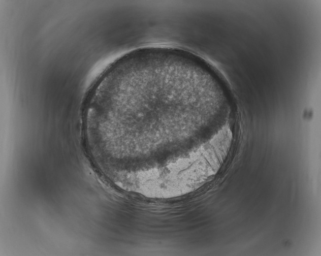 X0000114011319200911131154