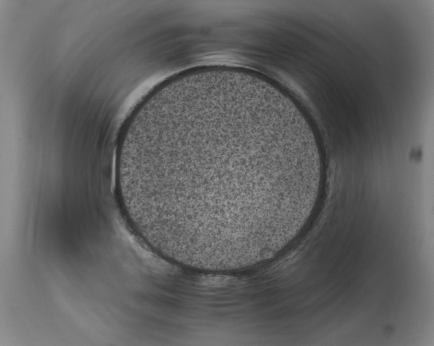 X0000114011323200911131154