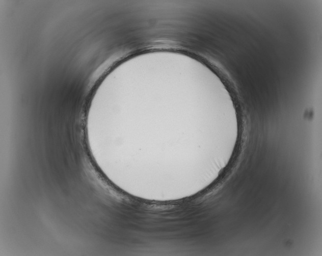 X0000114011325200911131154