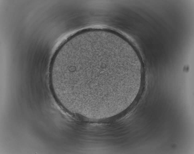 X0000114011327200911131154