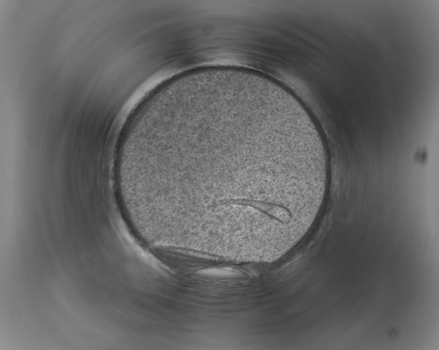 X0000114011331200911131154