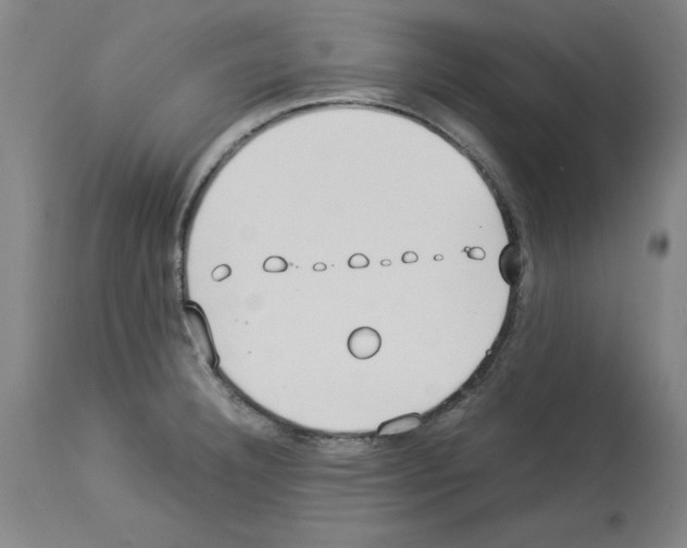 X0000114011332200911131154