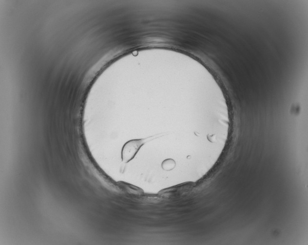 X0000114011333200911131155