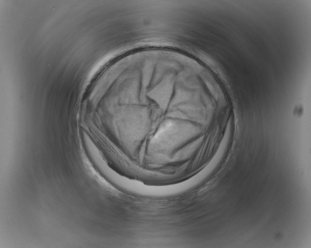 X0000114011334200911131155