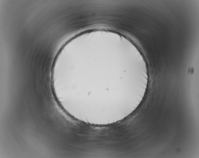 X0000114011335200911131155