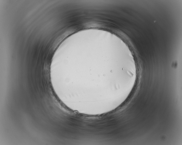 X0000114011337200911131155