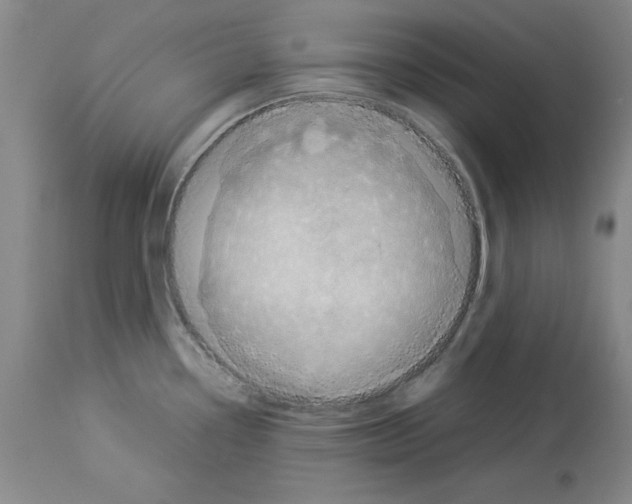 X0000114011338200911131155