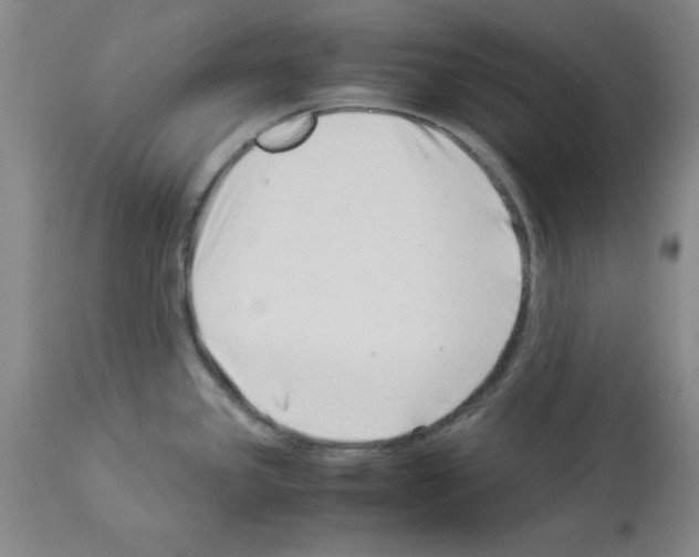 X0000114011341200911131155