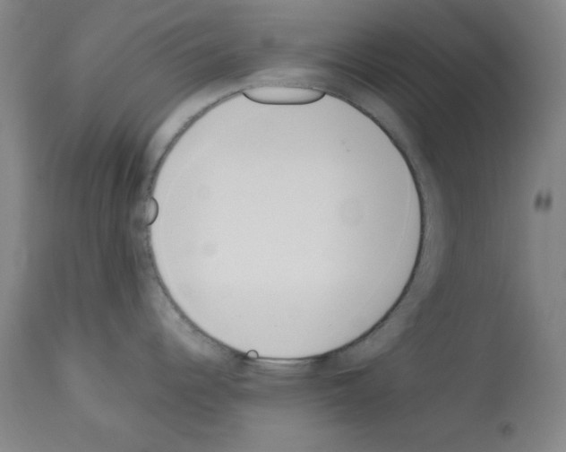 X0000114011344200911131155