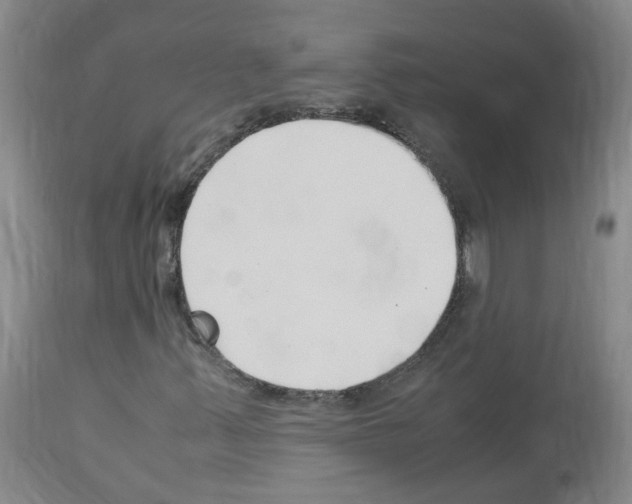 X0000114011347200911131154