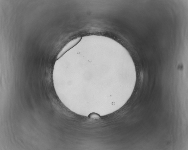 X0000114011348200911131154