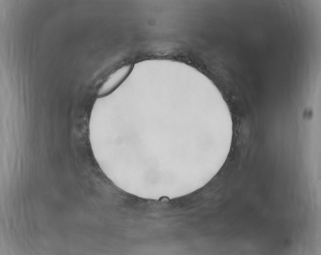 X0000114011349200911131154