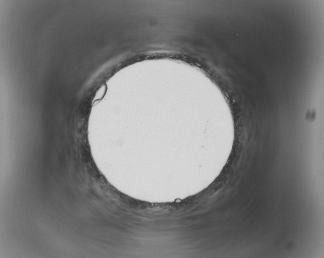 X0000114011351200911131154