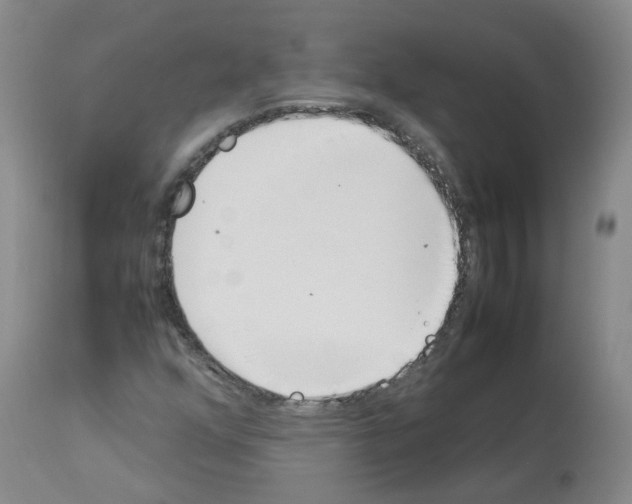 X0000114011352200911131154