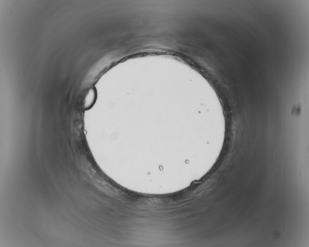 X0000114011355200911131154