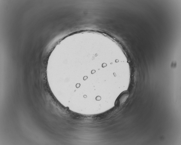 X0000114011359200911131154