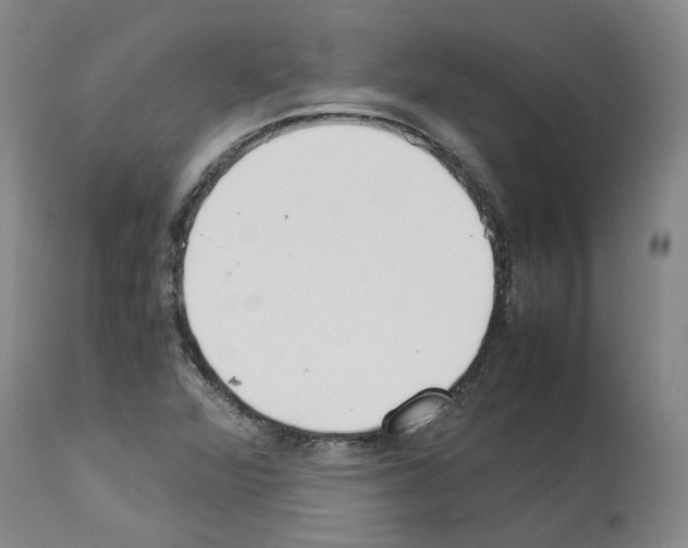 X0000114011360200911131154