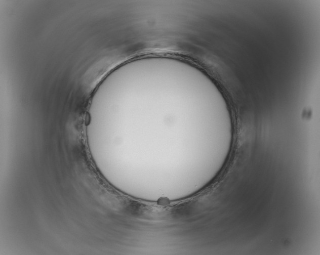 X0000114011361200911131154