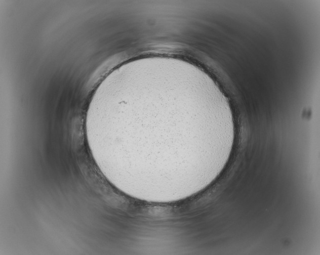 X0000114011362200911131154