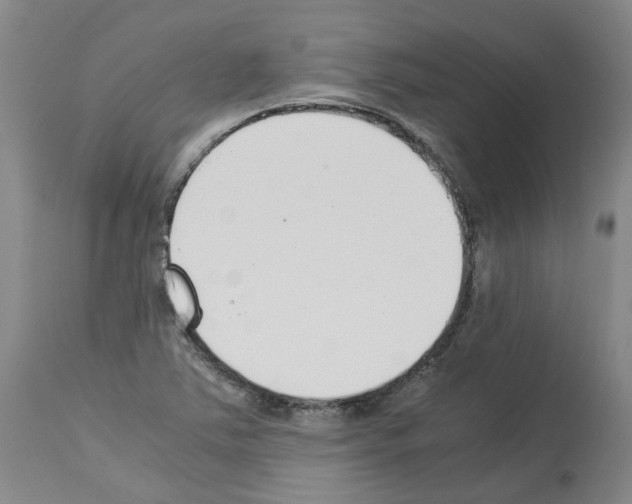 X0000114011363200911131154