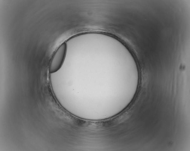 X0000114011365200911131154