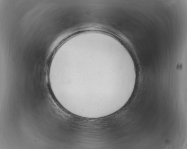 X0000114011368200911131154