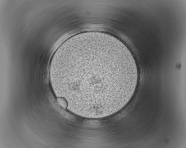 X0000114011370200911131154