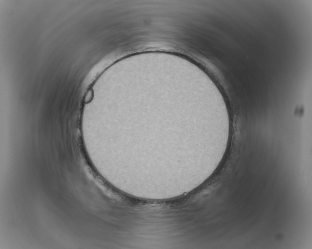 X0000114011373200911131153