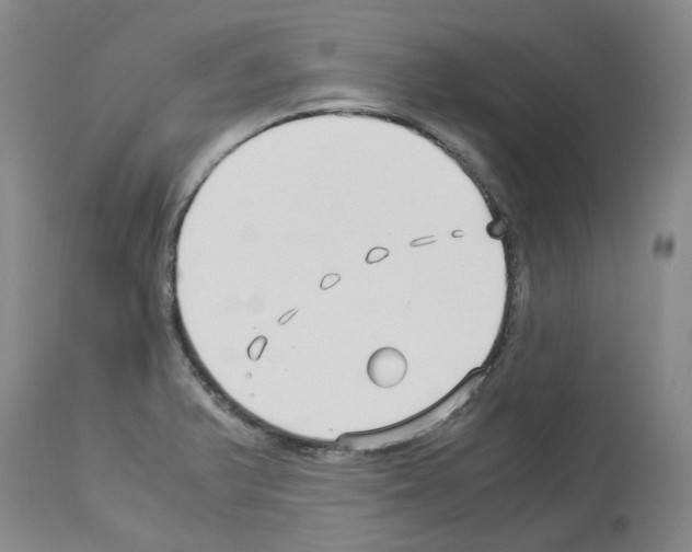 X0000114011375200911131153