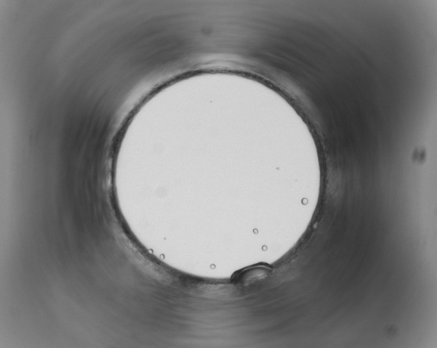 X0000114011376200911131153