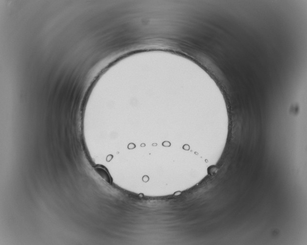 X0000114011380200911131153