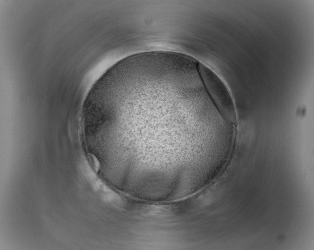 X0000114011381200911131153