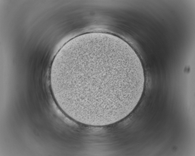 X0000114011382200911131153