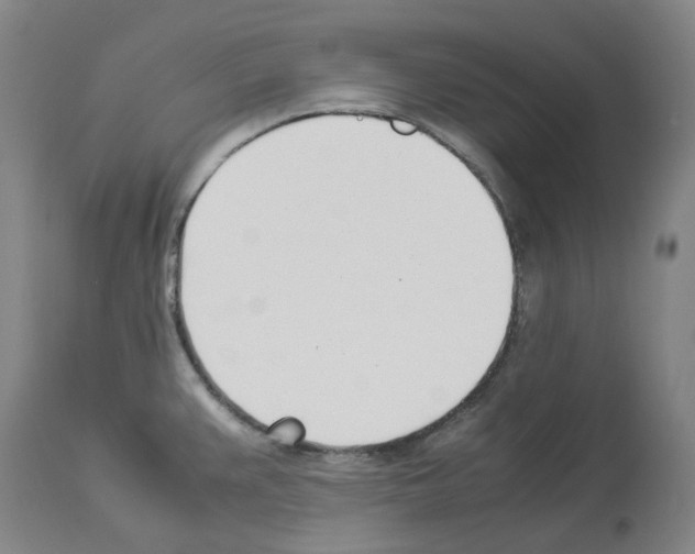 X0000114011383200911131153