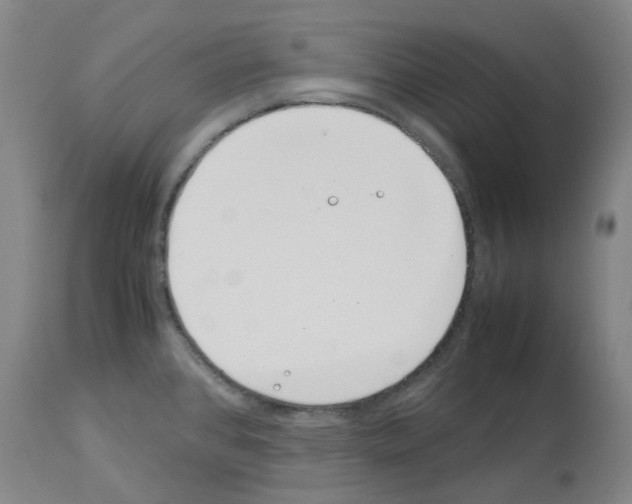 X0000114011384200911131153