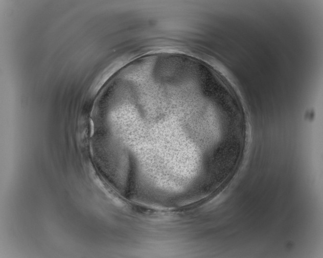 X0000114011385200911131153