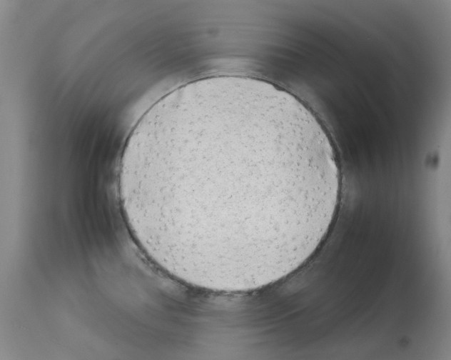 X0000114011386200911131153