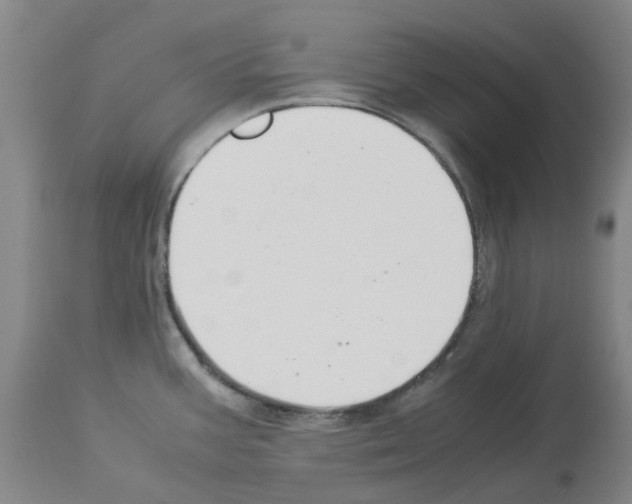 X0000114011387200911131153