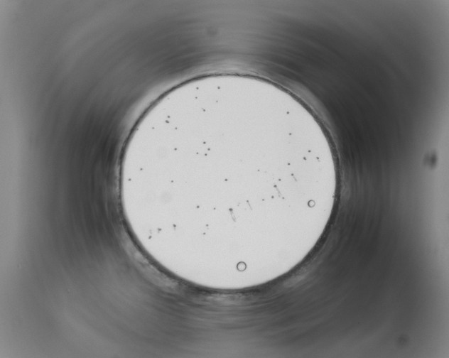 X0000114011388200911131153