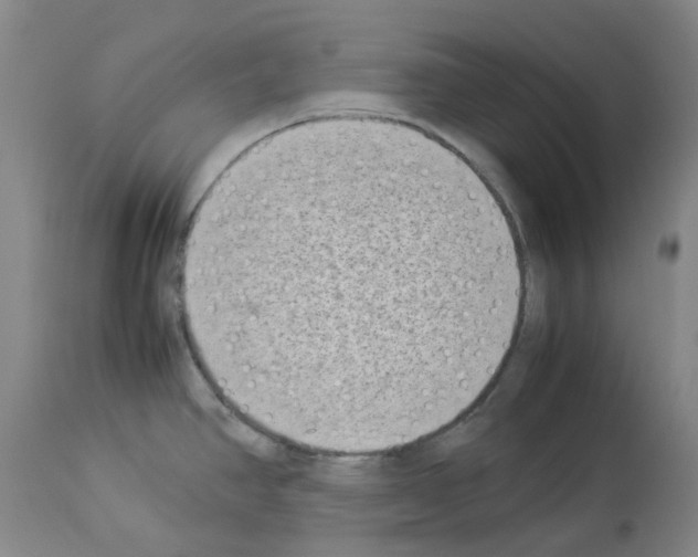 X0000114011390200911131153