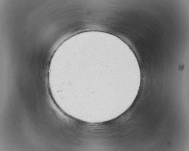 X0000114011391200911131153