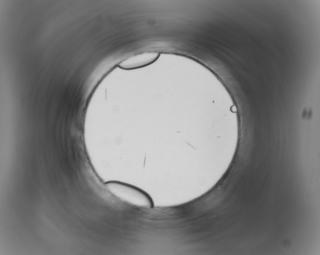 X0000114011392200911131153