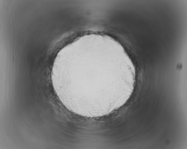 X0000114011398200911131152